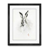 Mr. Rabbit