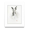Mr. Rabbit