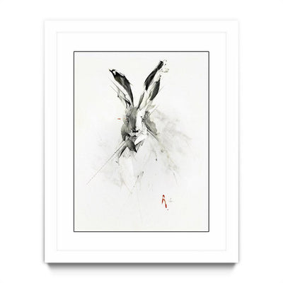 Mr. Rabbit