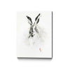 Mr. Rabbit