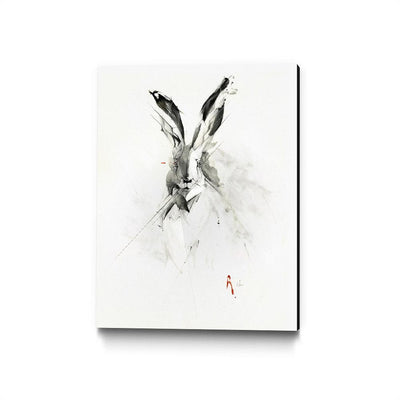 Mr. Rabbit