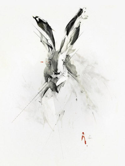 Mr. Rabbit