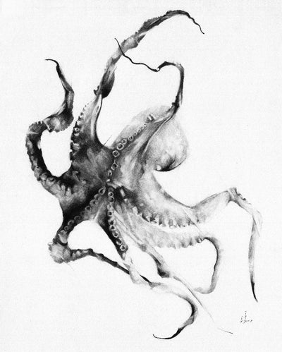 Octopus