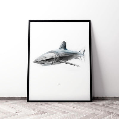 Shark 1