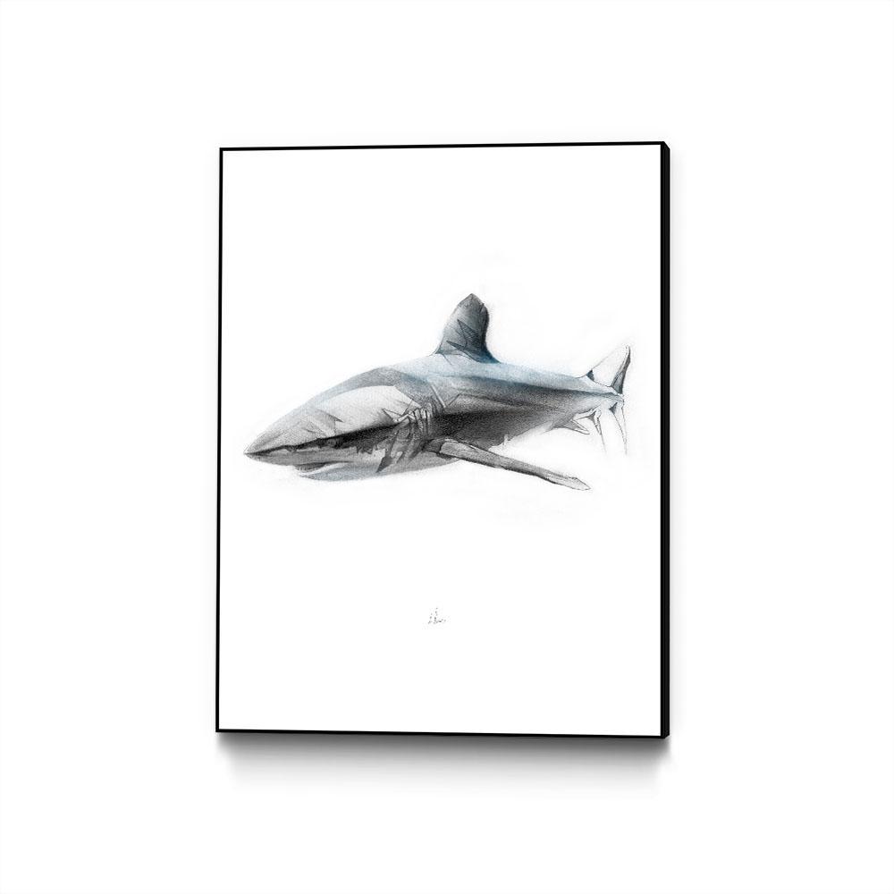 Shark 1 by Alexis Marcou - Eyes On Walls