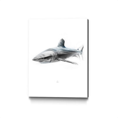 Shark 1