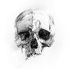 Skull 46