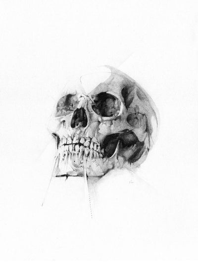 Skull 52