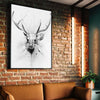 Stag