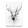 Stag