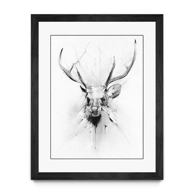 Stag