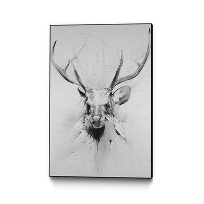 Stag