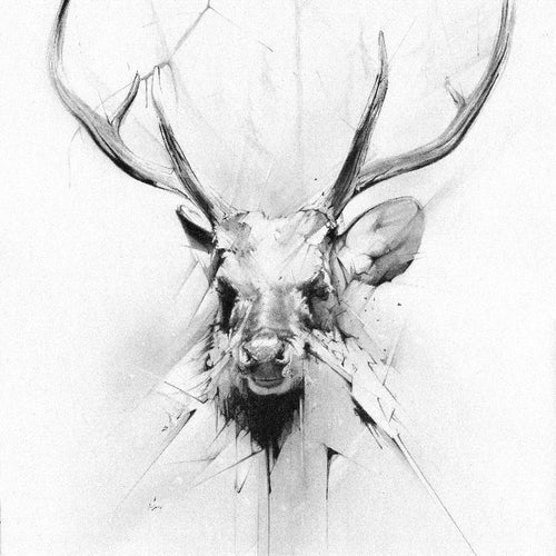 Stag