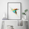 Aves01