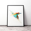 Aves01