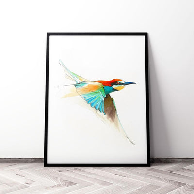 Aves01