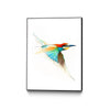 Aves01