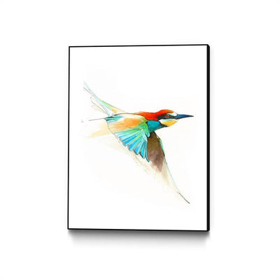Aves01