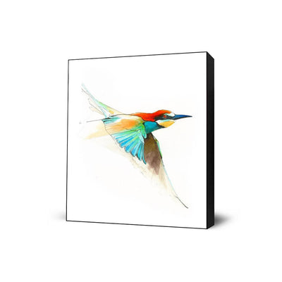 Aves01