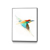 Aves01