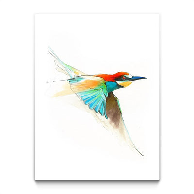 Aves01