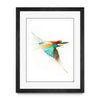 Aves01