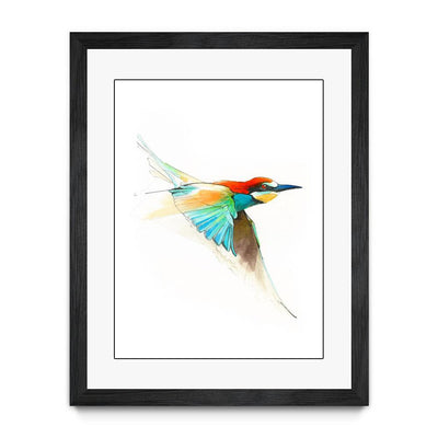 Aves01