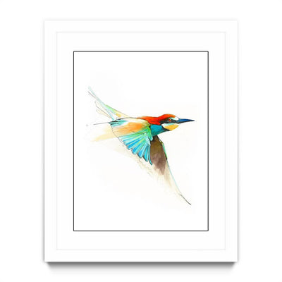 Aves01