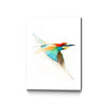Aves01