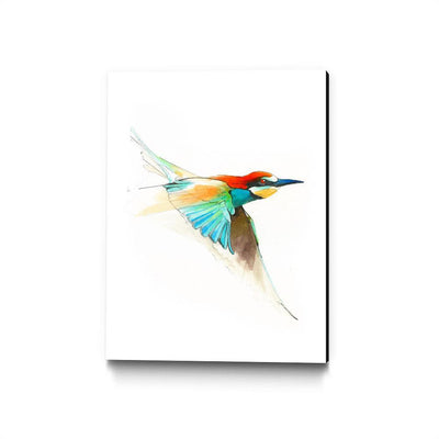 Aves01