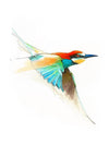 Aves01