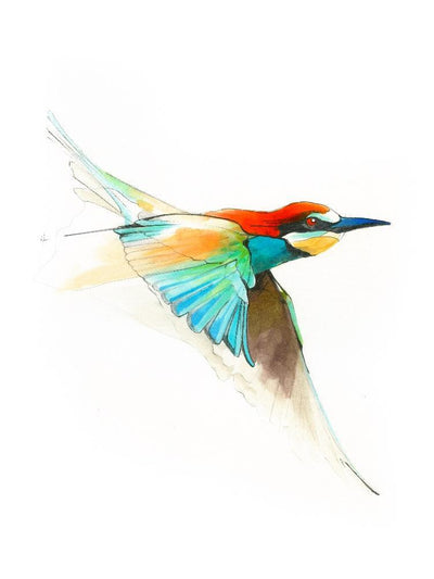 Aves01