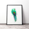 Aves 02