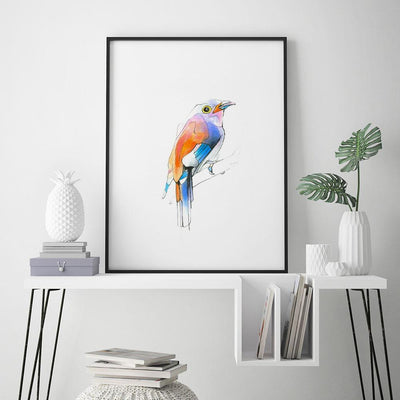 Aves 04