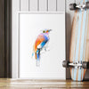Aves 04