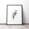 Aves 04