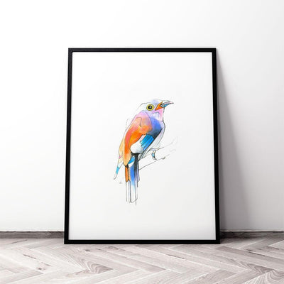 Aves 04