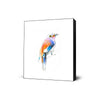Aves 04