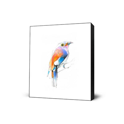 Aves 04