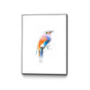 Aves 04