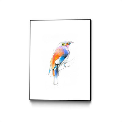 Aves 04