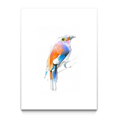 Aves 04