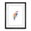 Aves 04