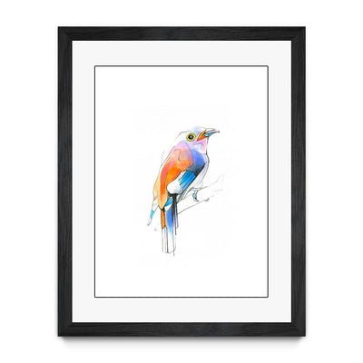 Aves 04