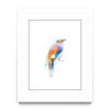 Aves 04