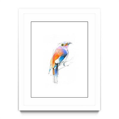 Aves 04