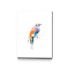 Aves 04