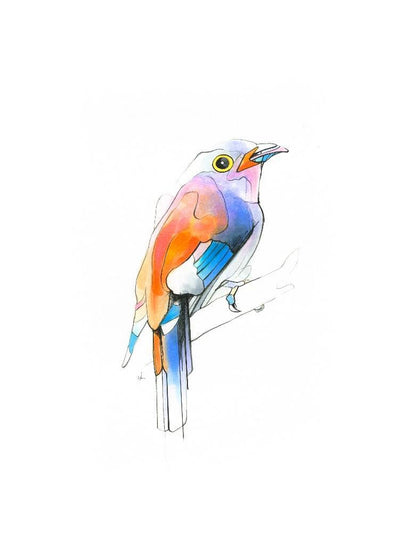 Aves 04