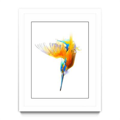 Aves 05