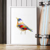 Aves 06
